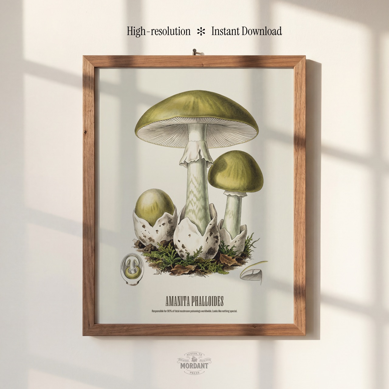 Death Cap print framed on a wall