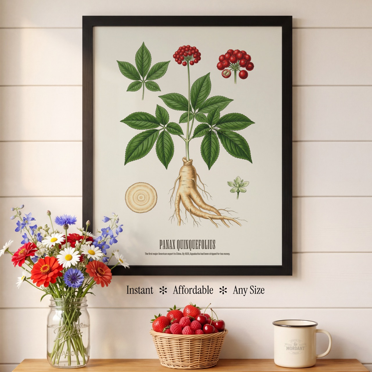American Ginseng print framed on a wall