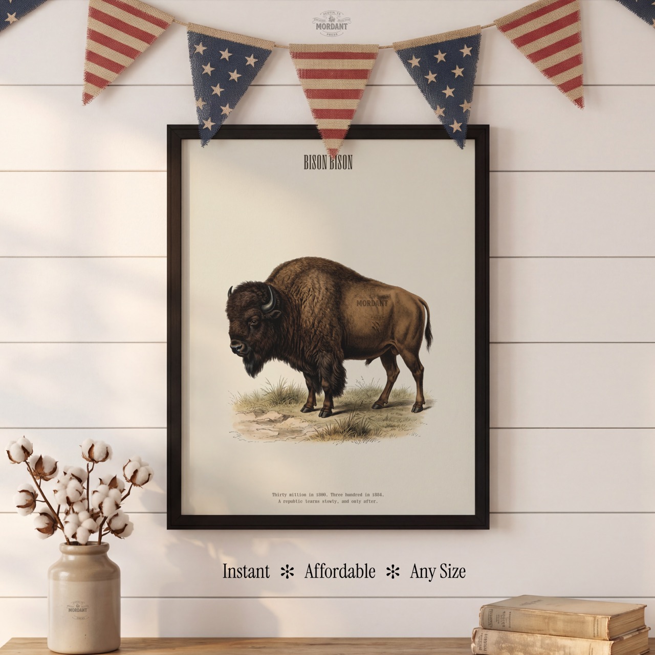 American Bison print framed on a wall