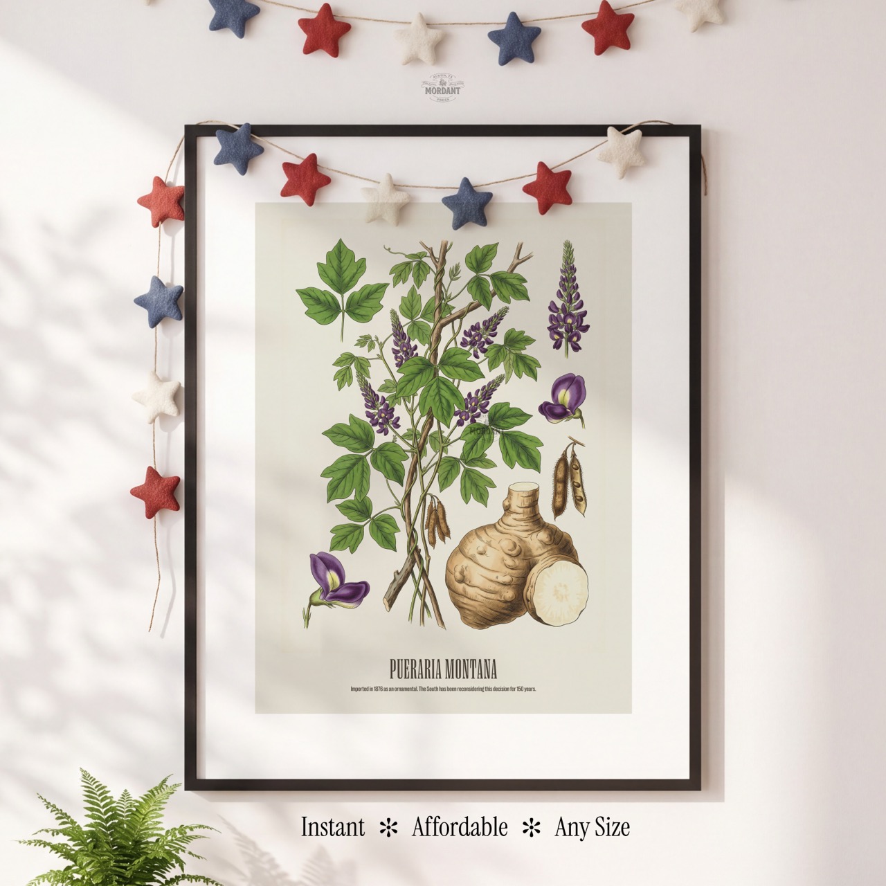 Kudzu print framed on a wall