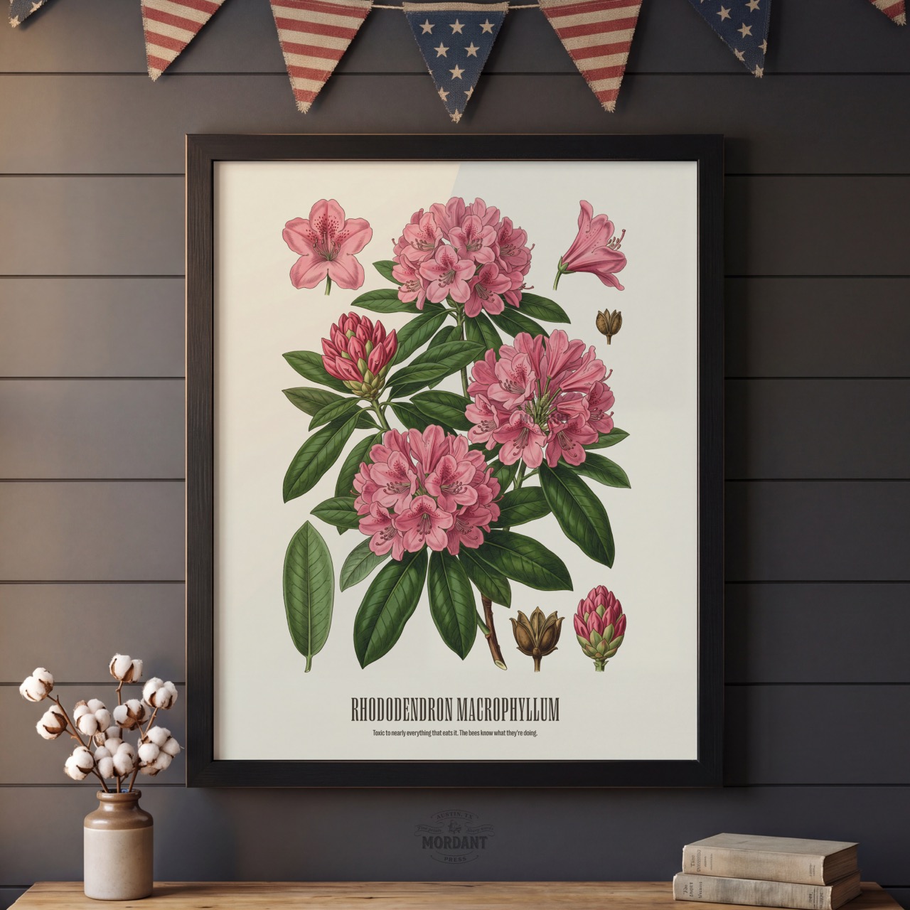 Rhododendron print framed on a wall