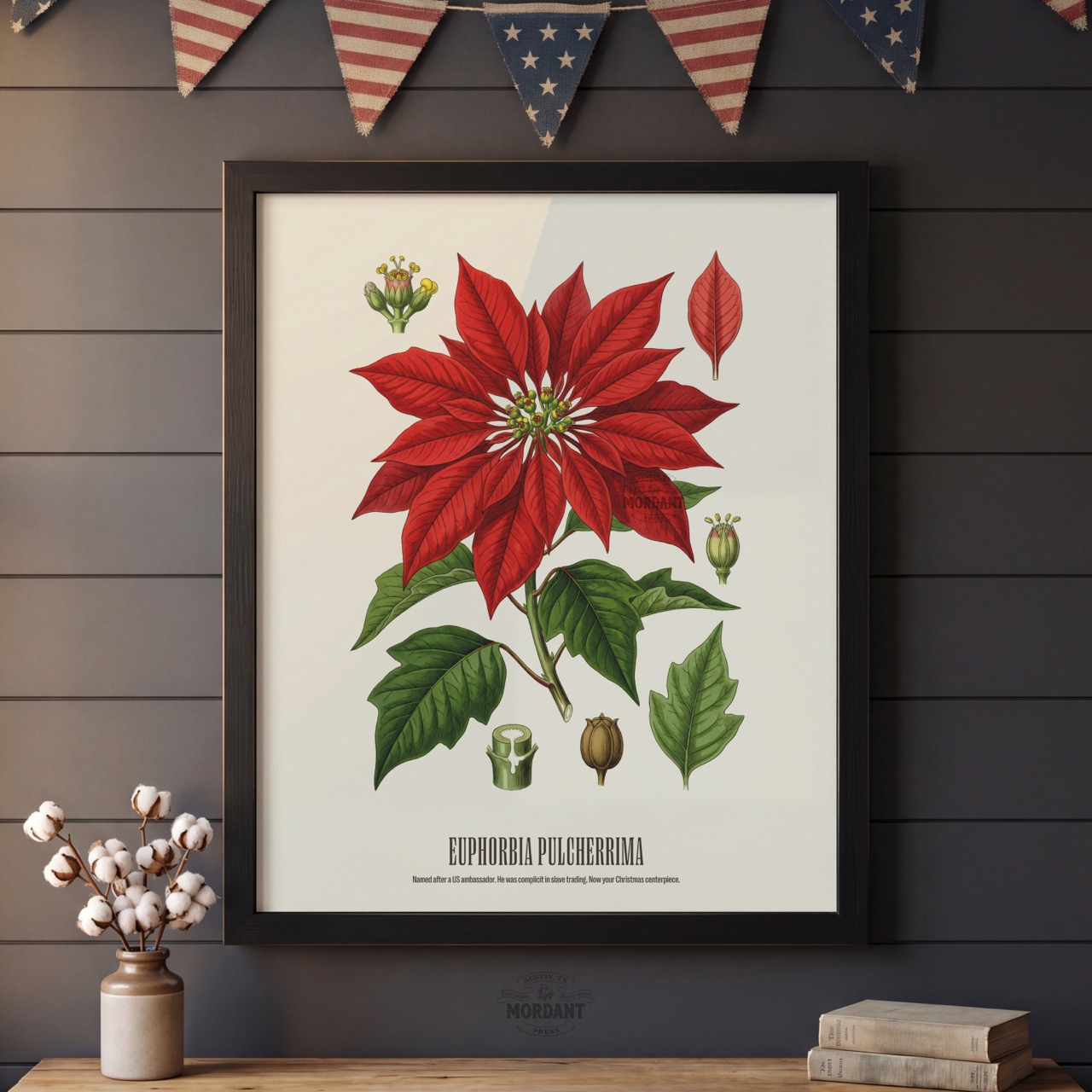 Poinsettia print framed on a wall