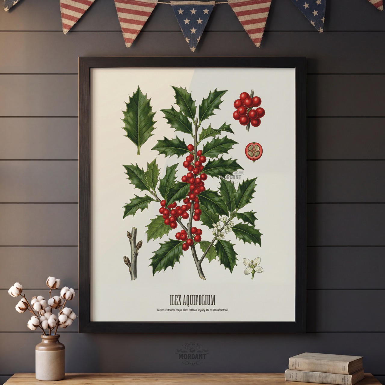 English Holly print framed on a wall