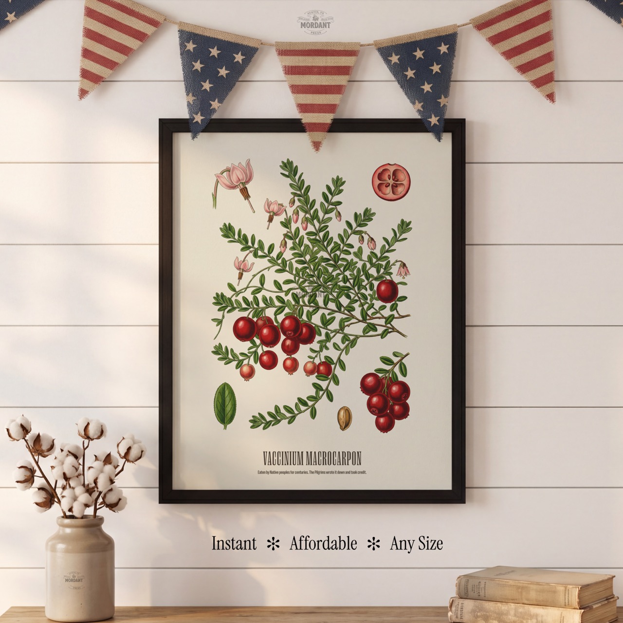 American Cranberry print framed on a wall