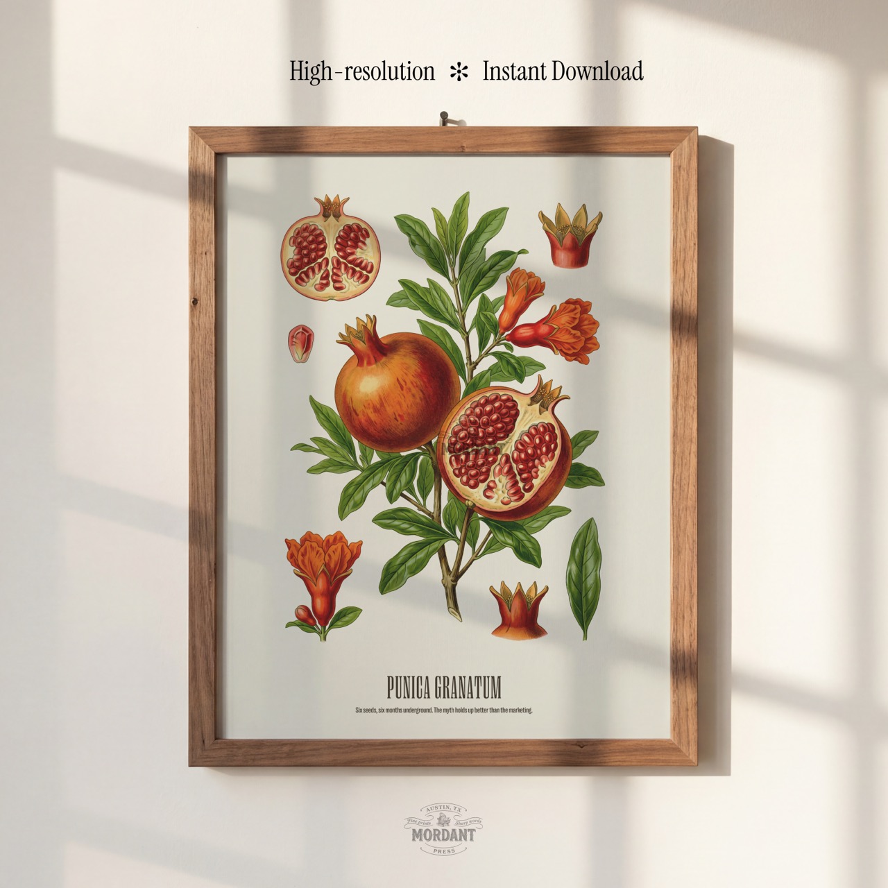 Pomegranate print framed on a wall