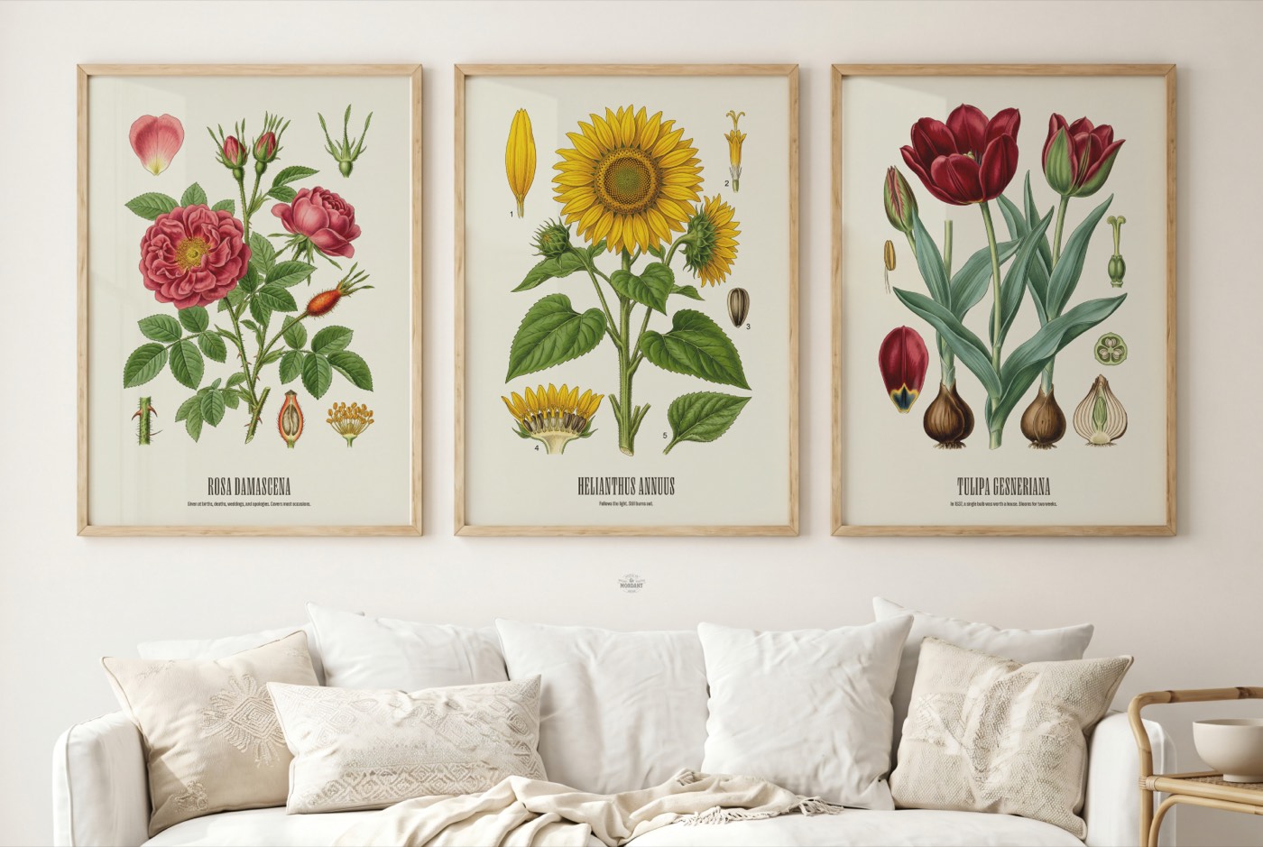 What Your Birthday Flowers Are Actually Doing